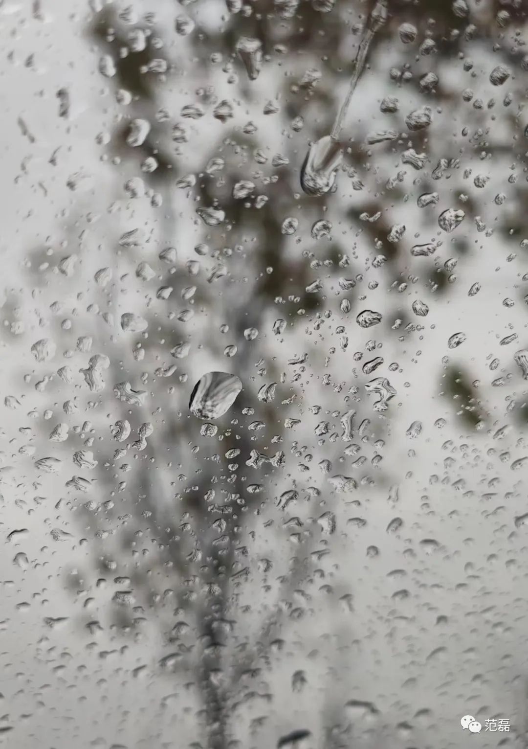 血泪换来的教训,买相机亏了怎么办