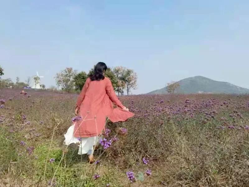 蚌埠禾泉山庄在哪里呀,蚌埠禾泉山庄爬涂山旅游攻略