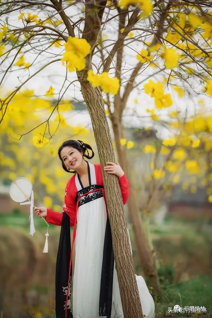 花仙子风铃,风铃花仙子