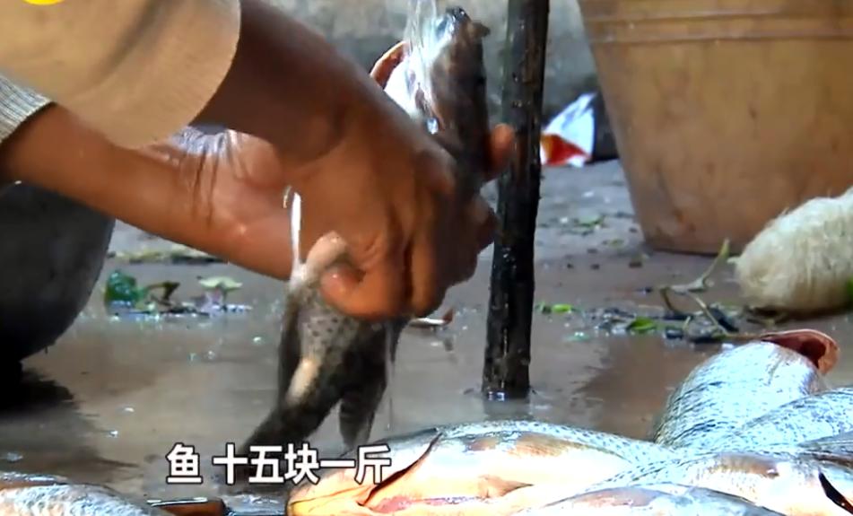 变形计农村主人公吴宗宏,变形计吴宗宏来深圳