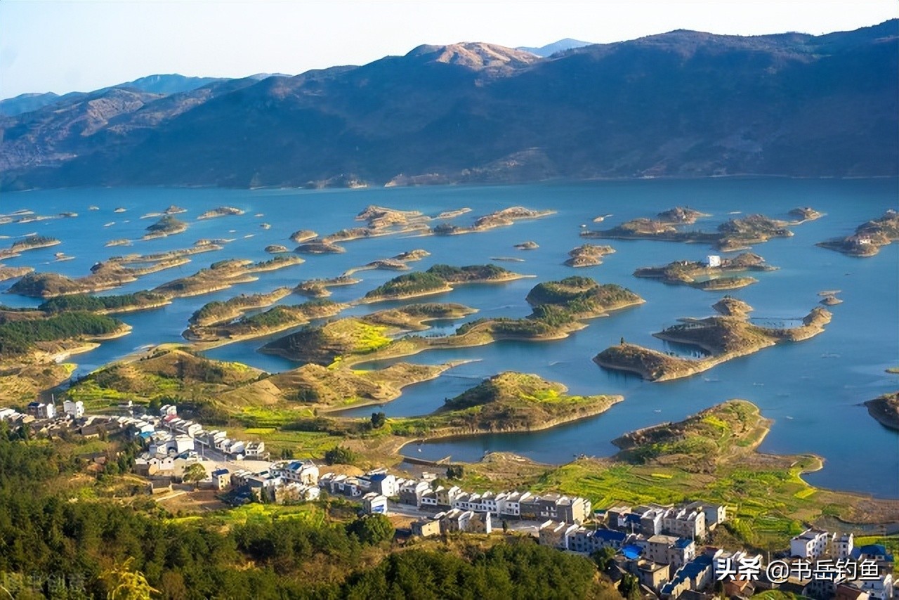 王者之战鲢鳙比赛,王者之战为什么改钓点了