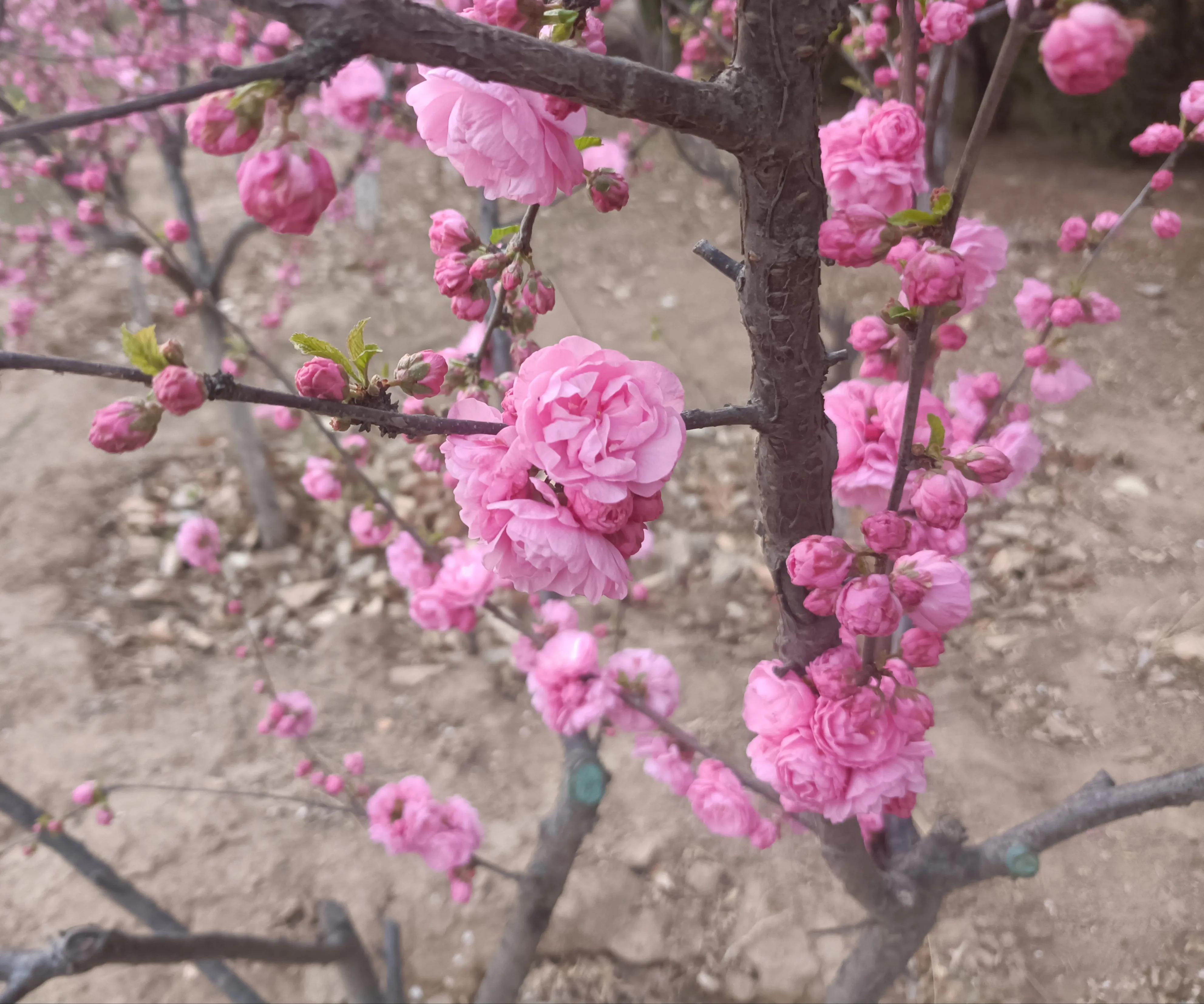机械行业工资待遇怎么样,机械行业工人工资占成本的多少