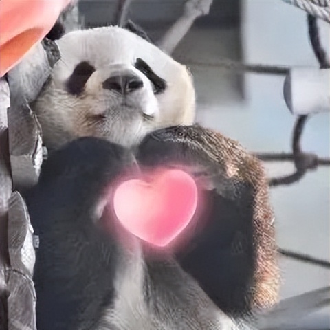 成都高新区桂溪生态公园婚姻登记,成都婚姻登记可以跨区吗