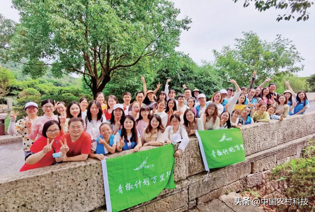 乡村振兴公益项目团队,乡村振兴的公益创业