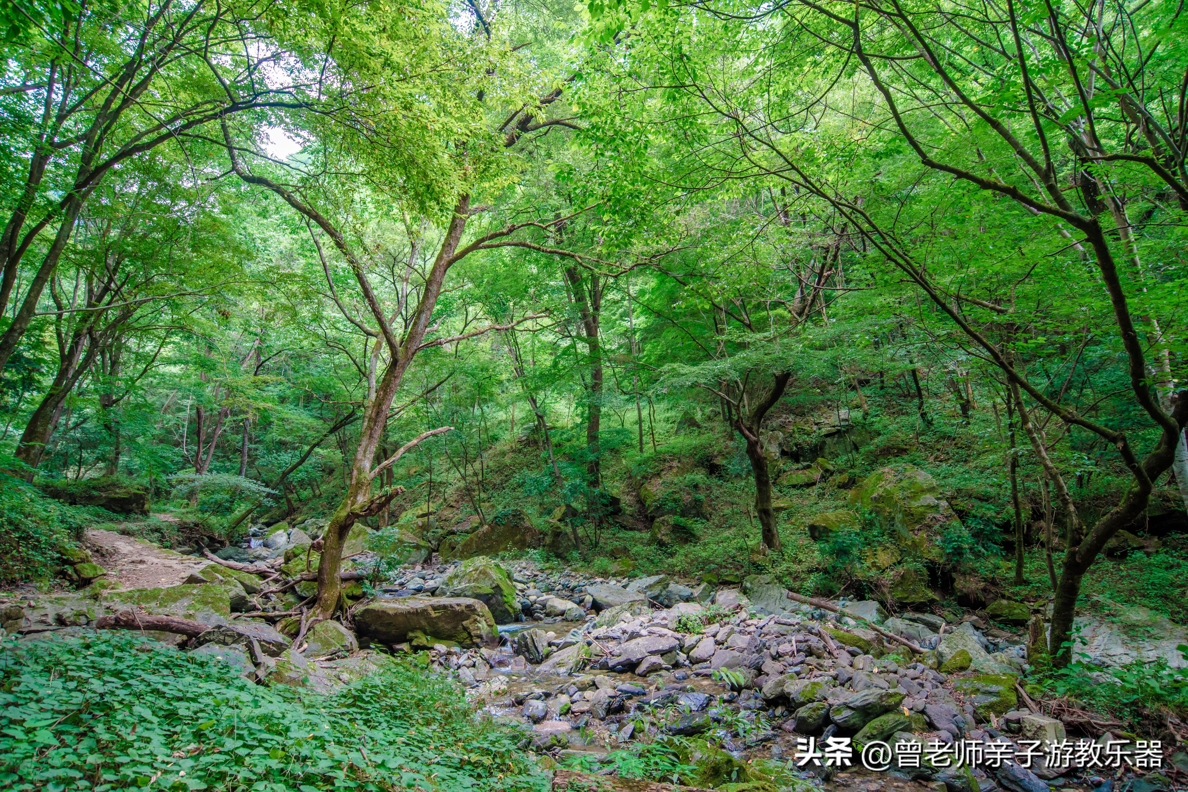 西安旅游景点免费推荐一日游攻略,西安旅游必去景点推荐一日游免费