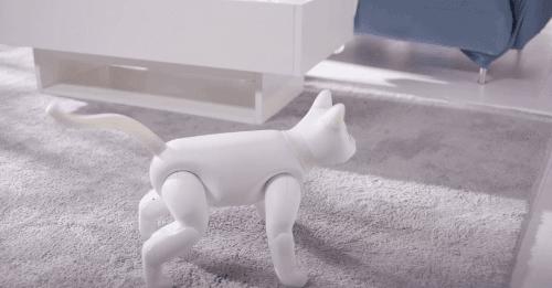 学生*党**的第一只机器猫，可以用来学代码