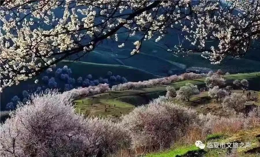 提到贵州你的第一印象是什么,提到甘肃的第一印象是什么