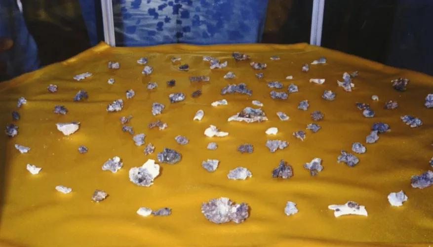 舍利子本质到底是什么,舍利子到底是如何形成的