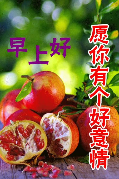 春天早晨好高级图片,春天早上好暖心祝福语图片