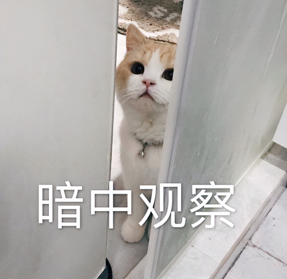 女生得了一颗尖锐性湿疣,女性肛周长湿疣什么原因