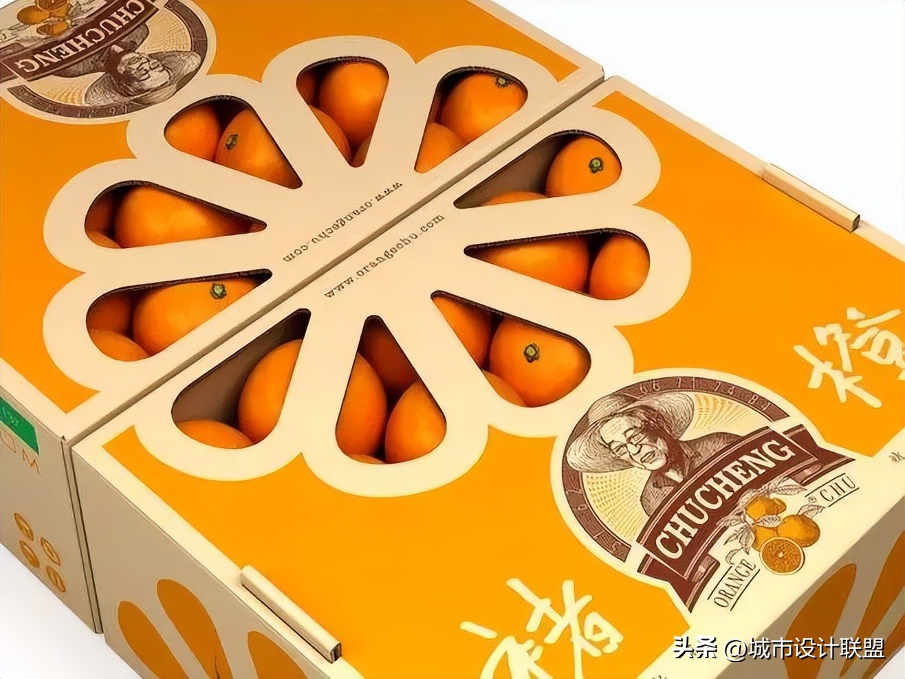 乡村振兴和乡村治理典型经验,乡村治理的发展与创新