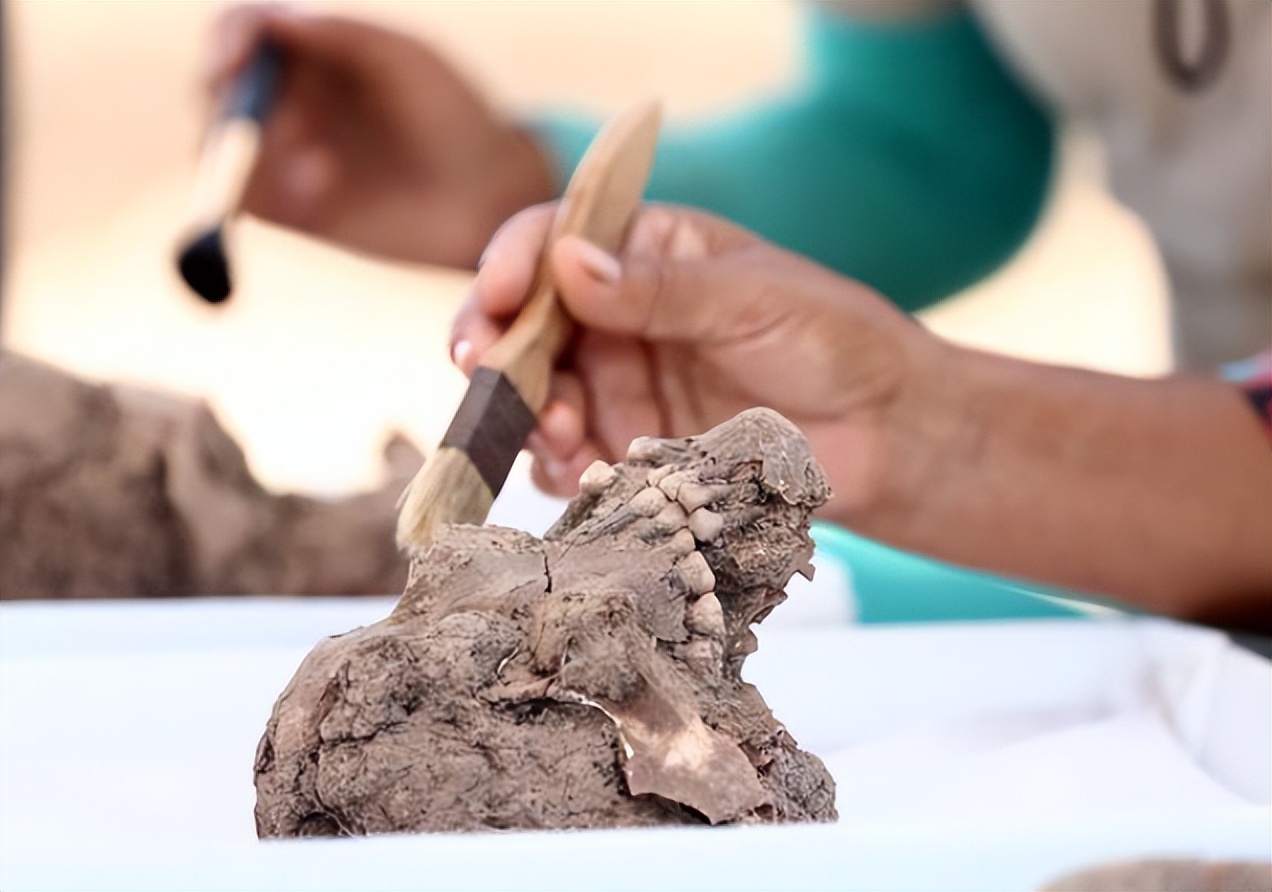 蔡英文家族历史令人咋舌，她为何冒死搞“*独台**”？原来是汉奸家族