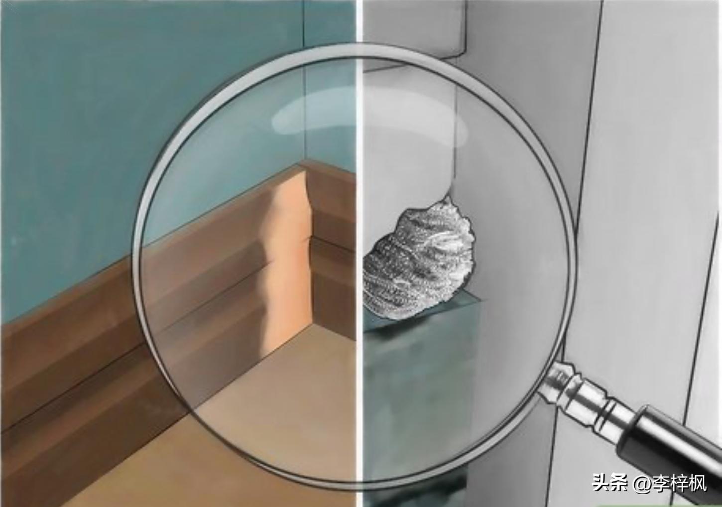 家里有老鼠怎么办快速灭鼠妙招,家里有老鼠怎么办没有酒精和白醋