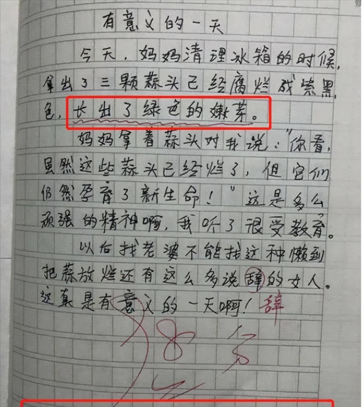 小学生作文《我的小姨》走红，个人隐私被泄露，小姨气地追着打