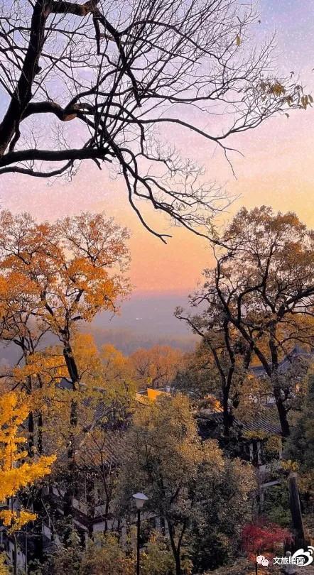 原来，在社交平台中，肥西的真实风景是这样的