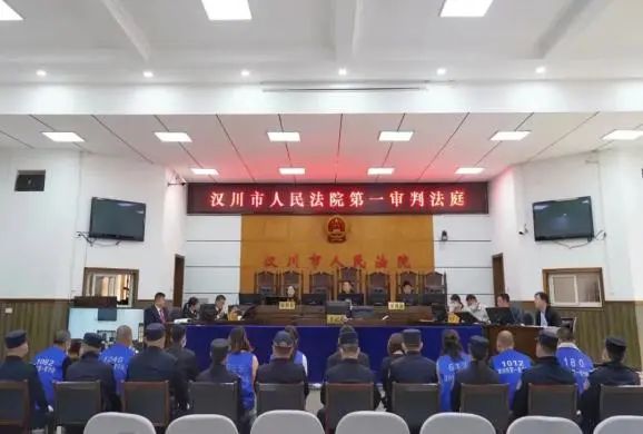 养殖集资诈骗8000万判刑案例,集资养殖诈骗案