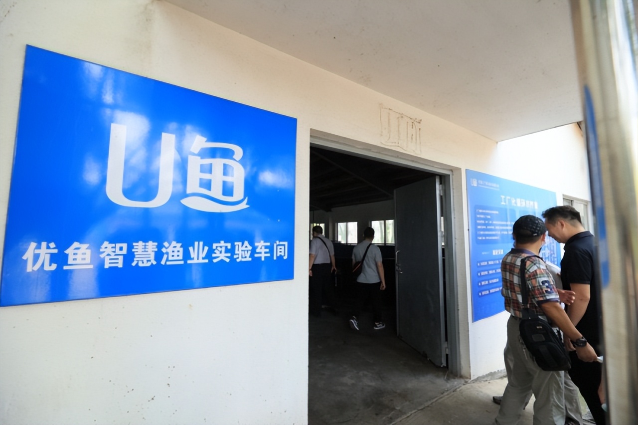 大动作发展活动方案,大动作发展活动的预期目标