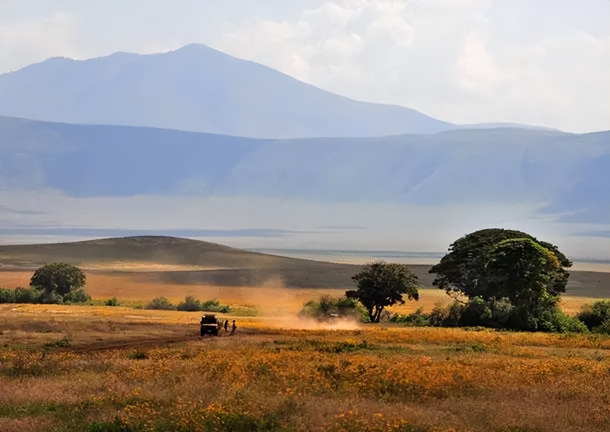 英超单赛季帽子戏法纪录,3次帽子戏法英超最快球员