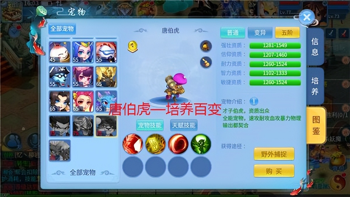 天书奇谈vip兑换码,天书奇谈累计充值奖励