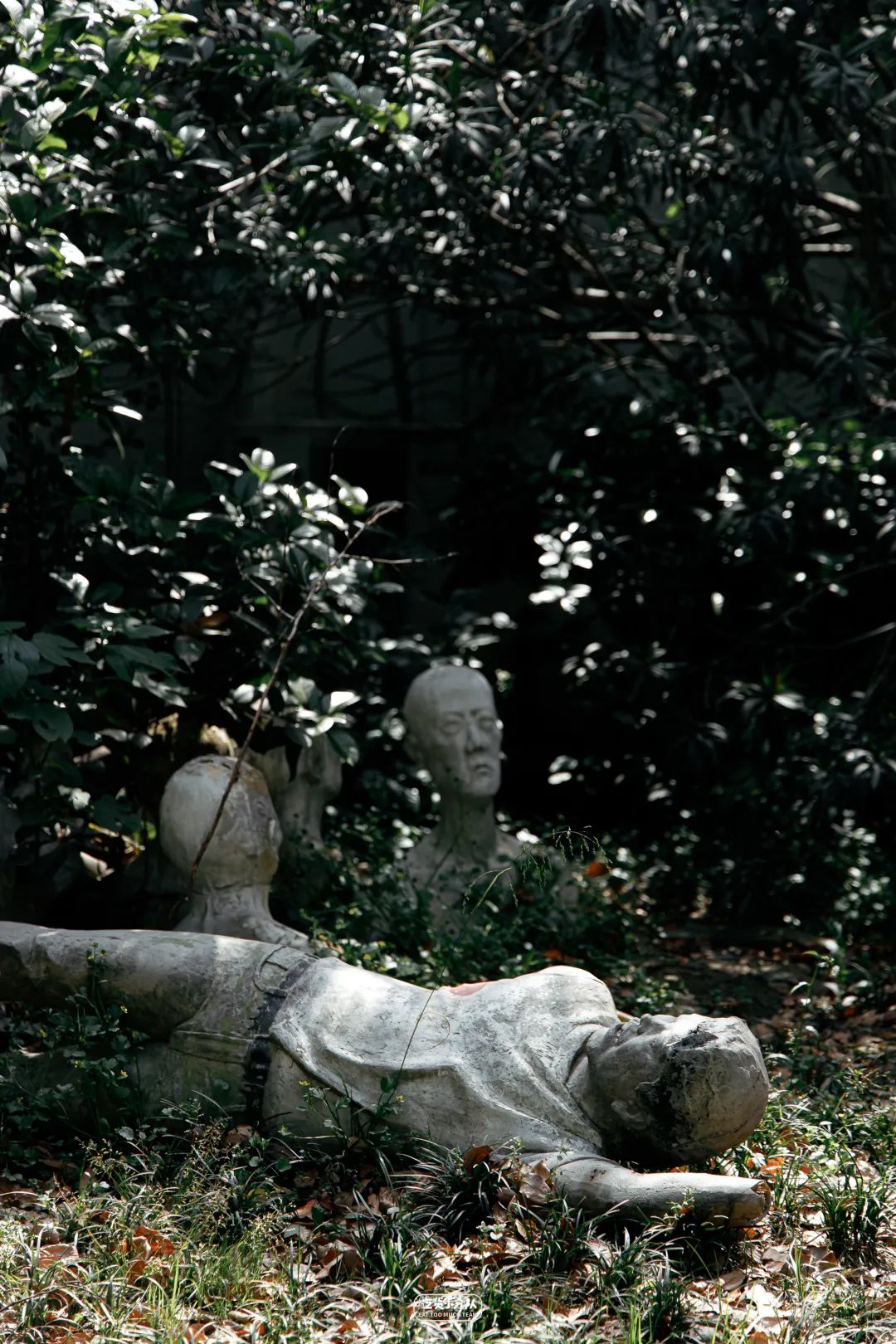 办一张上海的大学饭卡,上海哪个大学可以办理饭卡