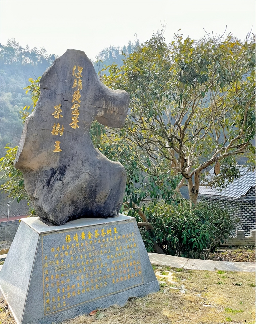 神秘湘西走个春在家吃自助烧烤,神秘湘西走个春