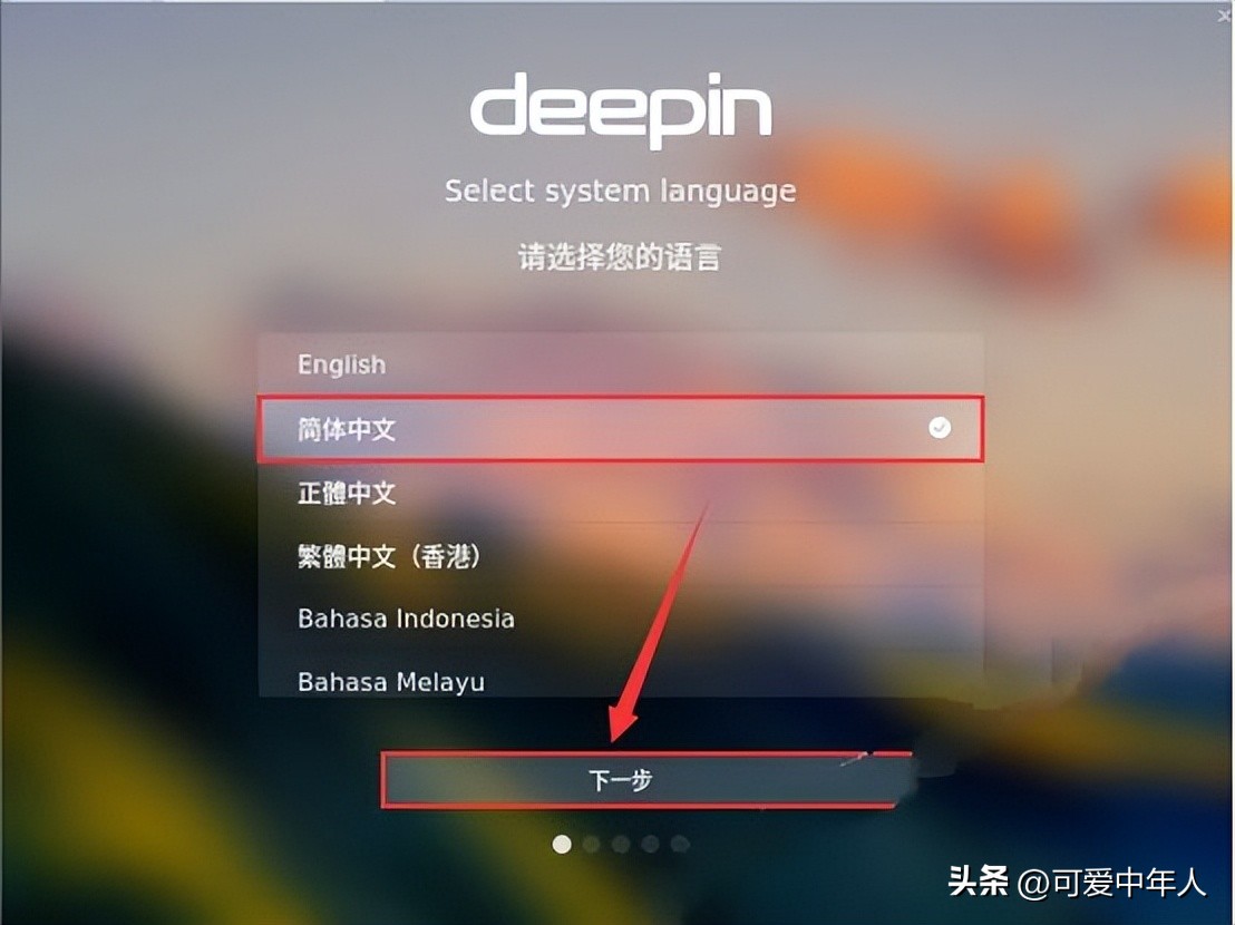 国产操作系统deepin安装教程详解,国产深度系统deepin安装