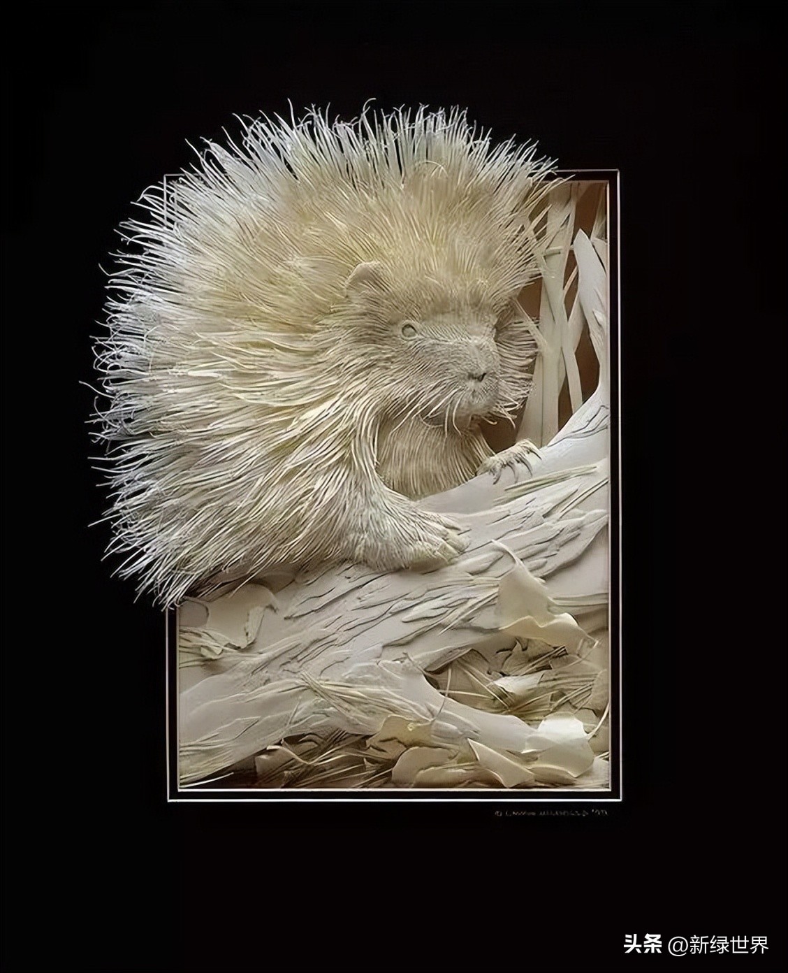 纸艺作品绘画,千变万化的纸艺术作品