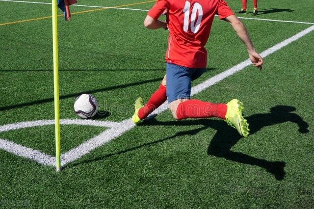 伪球迷的意义,伪球迷行为