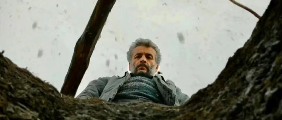 野梨树完整版免费观看,关于野梨树的电影