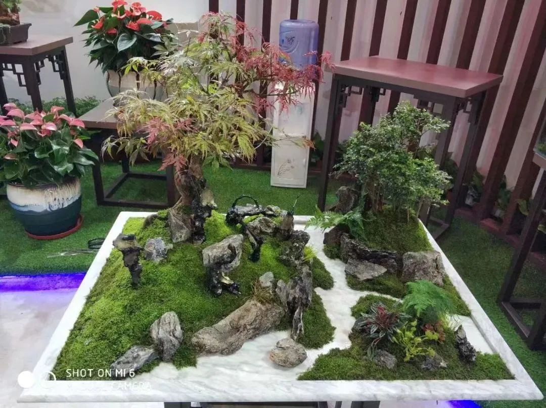 花与茶联合经营——这家500平方米的大花店，做出了一年超千万元营业额