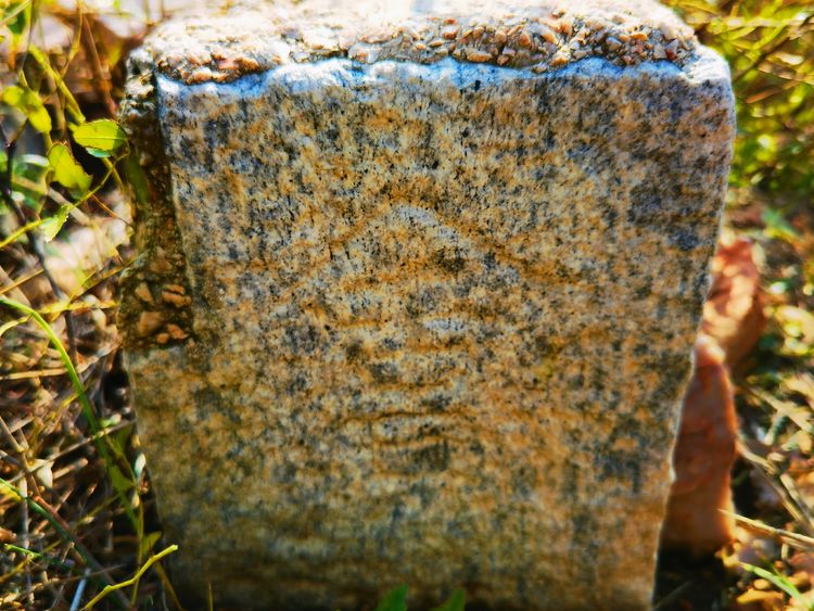 旅顺城山,旅顺城山怎么绕过去