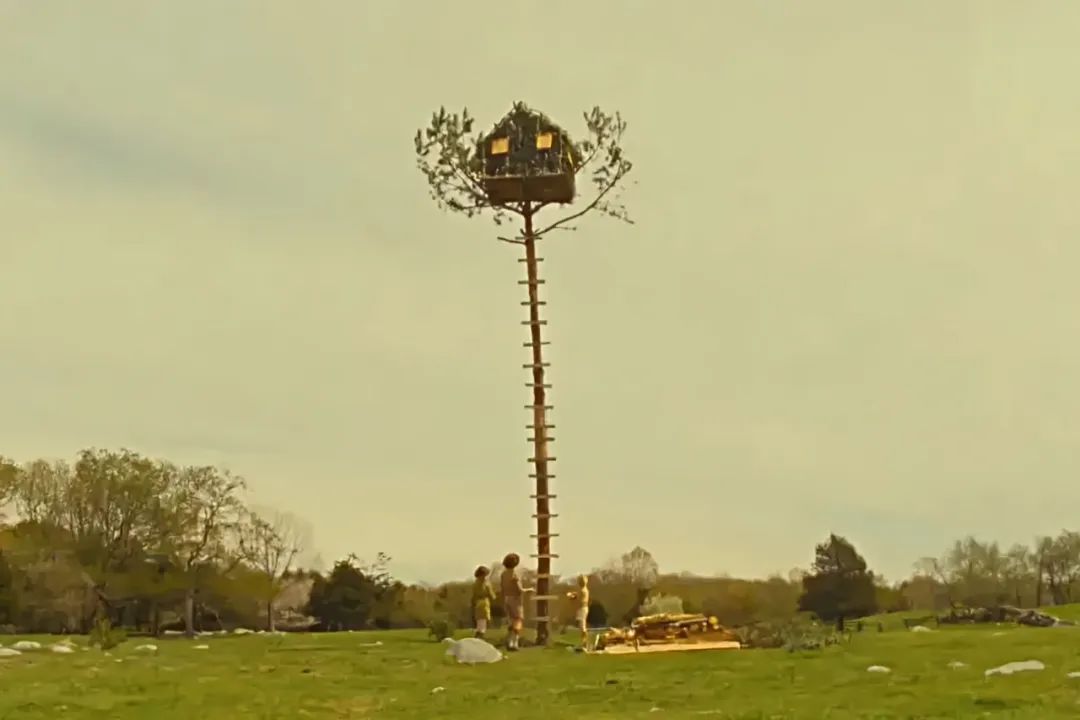 考拉被阿里收购后整合启示,考拉被收购后现状