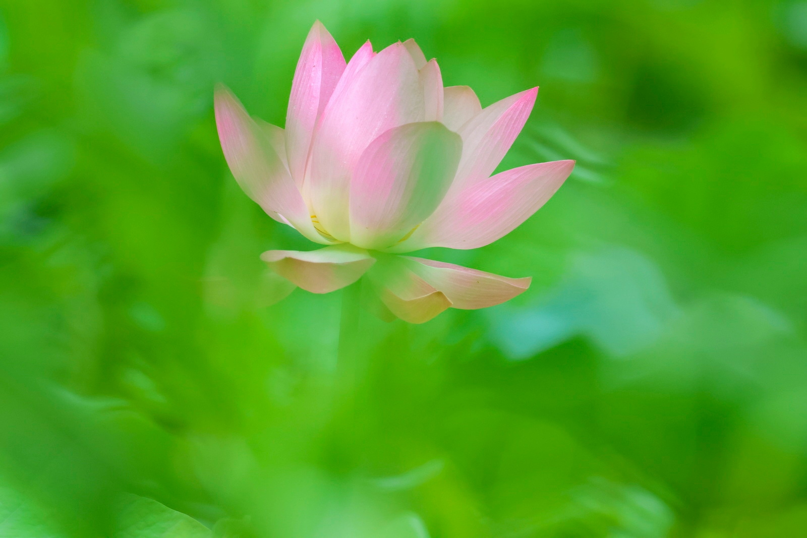 佳能eosr7目前值得买吗,佳能eosr7优缺点