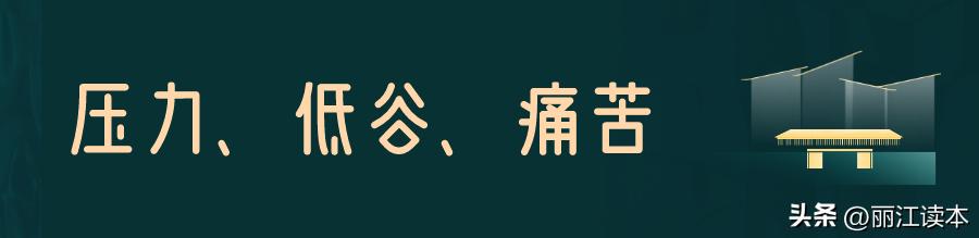 他17岁上小学，中专学历留学欧美，奋斗多年成为香格里拉传奇人物