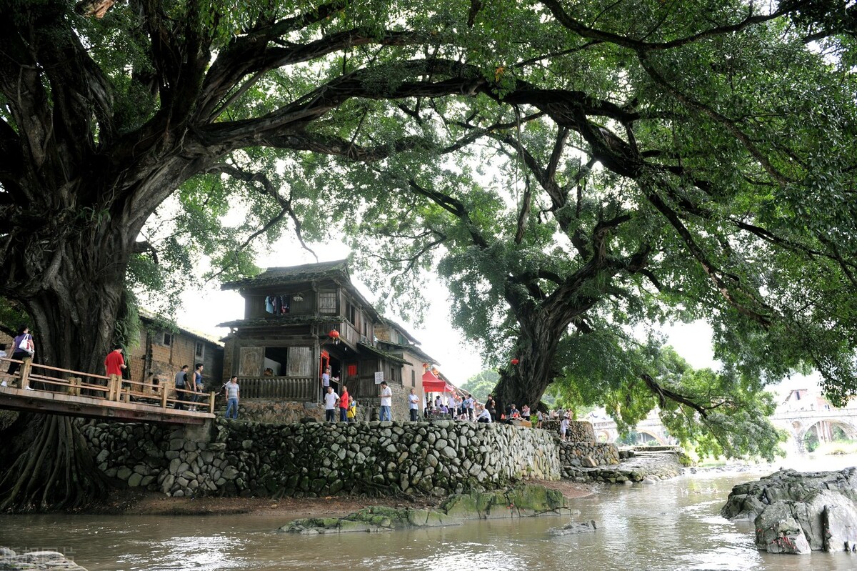厦门旅游攻略必备美食自由行,厦门旅游十大必去景点吃的攻略