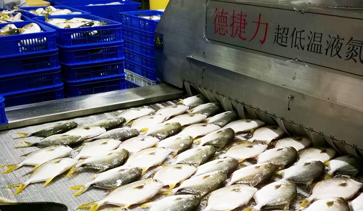 液氮速冻机小型,液氮速冻机多久冻好