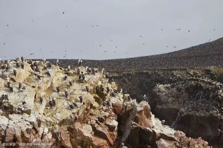 秘鲁这个国家怎么样了,秘鲁国家富裕还是贫穷