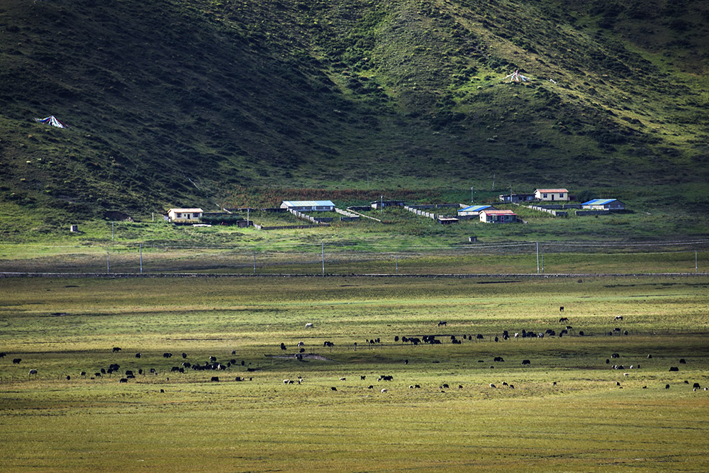 西部大草原旅游攻略,四川红原大草原自驾旅游攻略