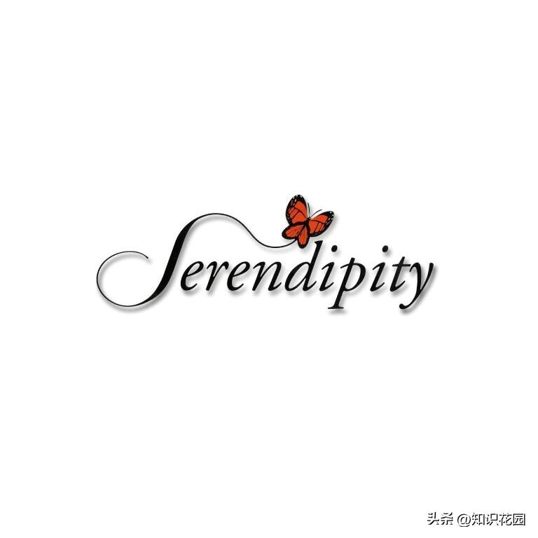 美丽的漂亮的英文单词是什么,十大最漂亮的单词