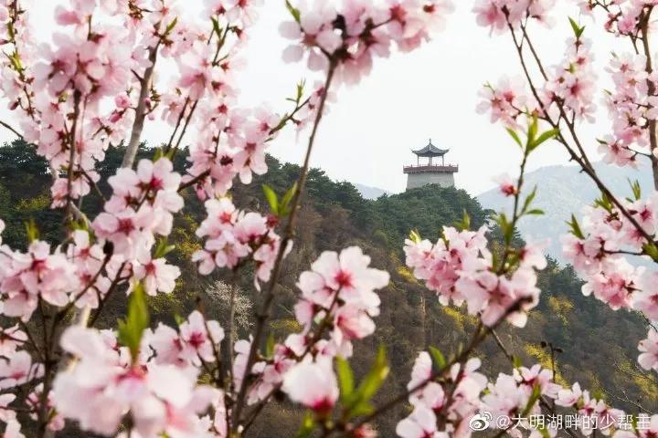 俺莱芜有美景|四季予你诗画香山
