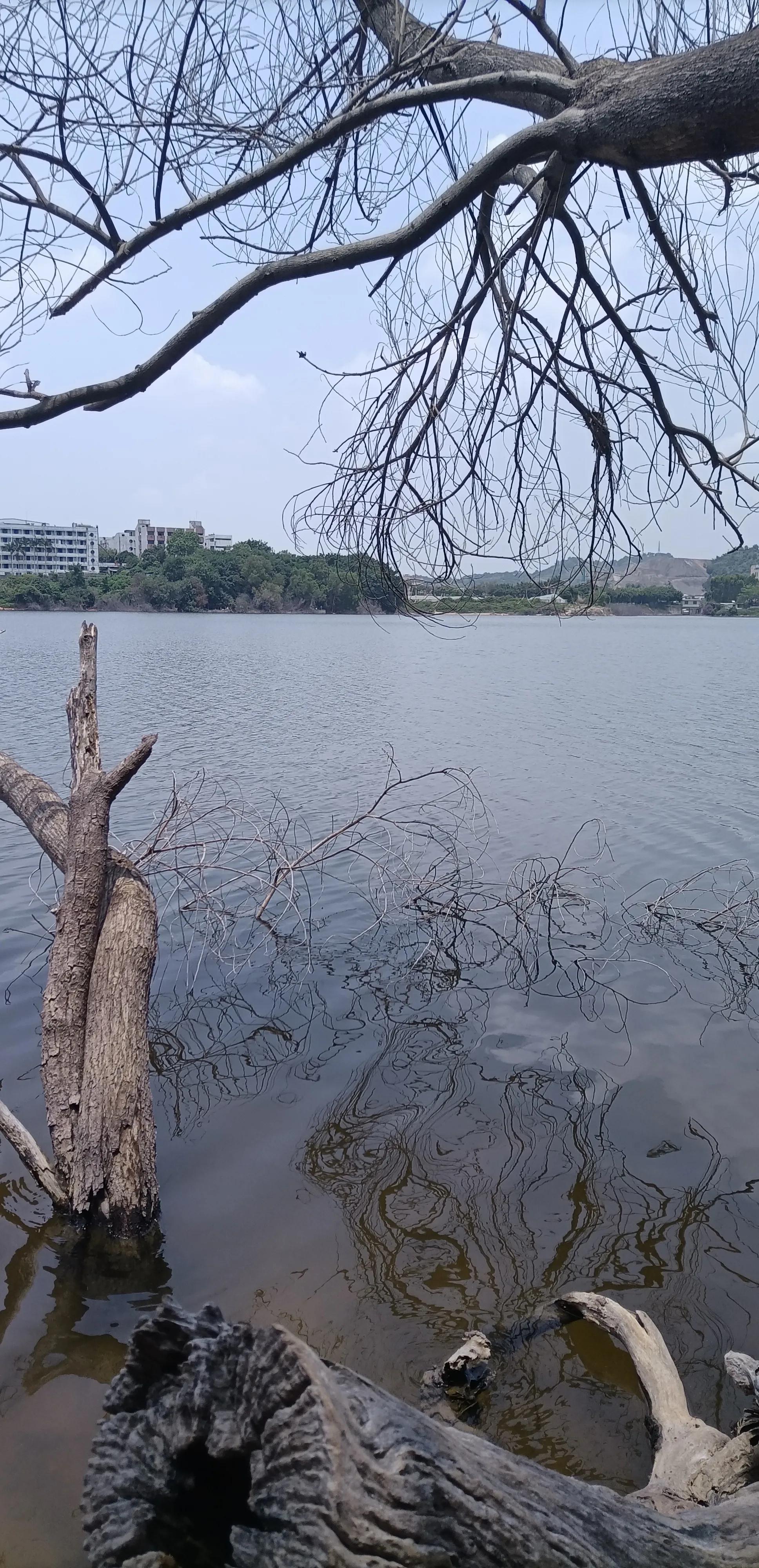 平常心即是道经典语录,平常心即是道南怀瑾