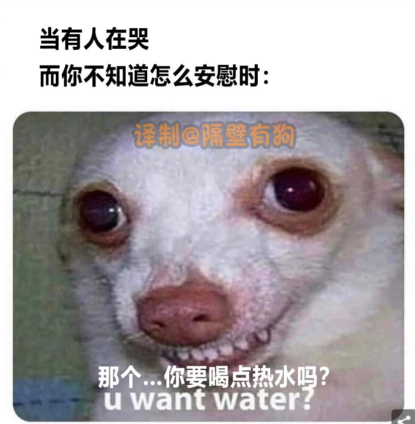 看完恐怖片不敢去最后一间厕所,看完恐怖片转移阵地