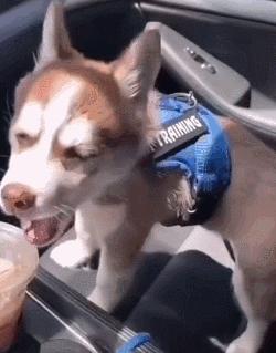 女厕的诡异事件,诡异女厕