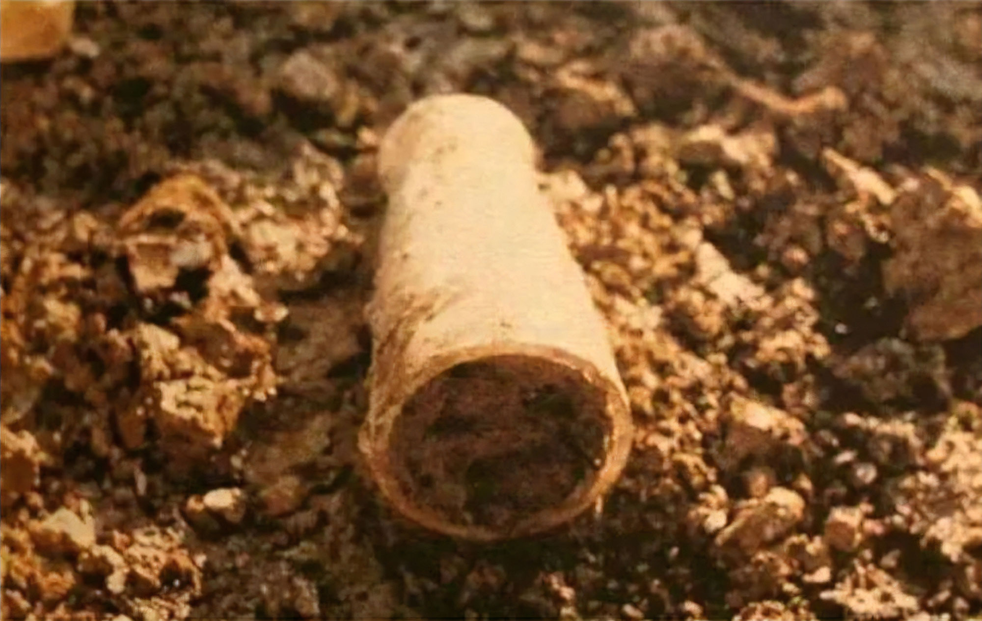 杭州博物馆镇馆之宝轿子,杭州博物馆战国水晶杯还在展览吗