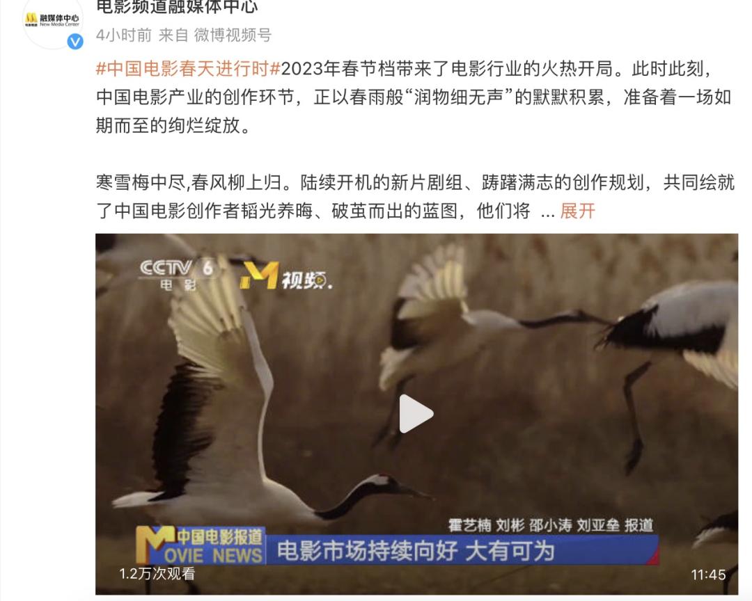 行业复苏电影解析,市场回暖电影