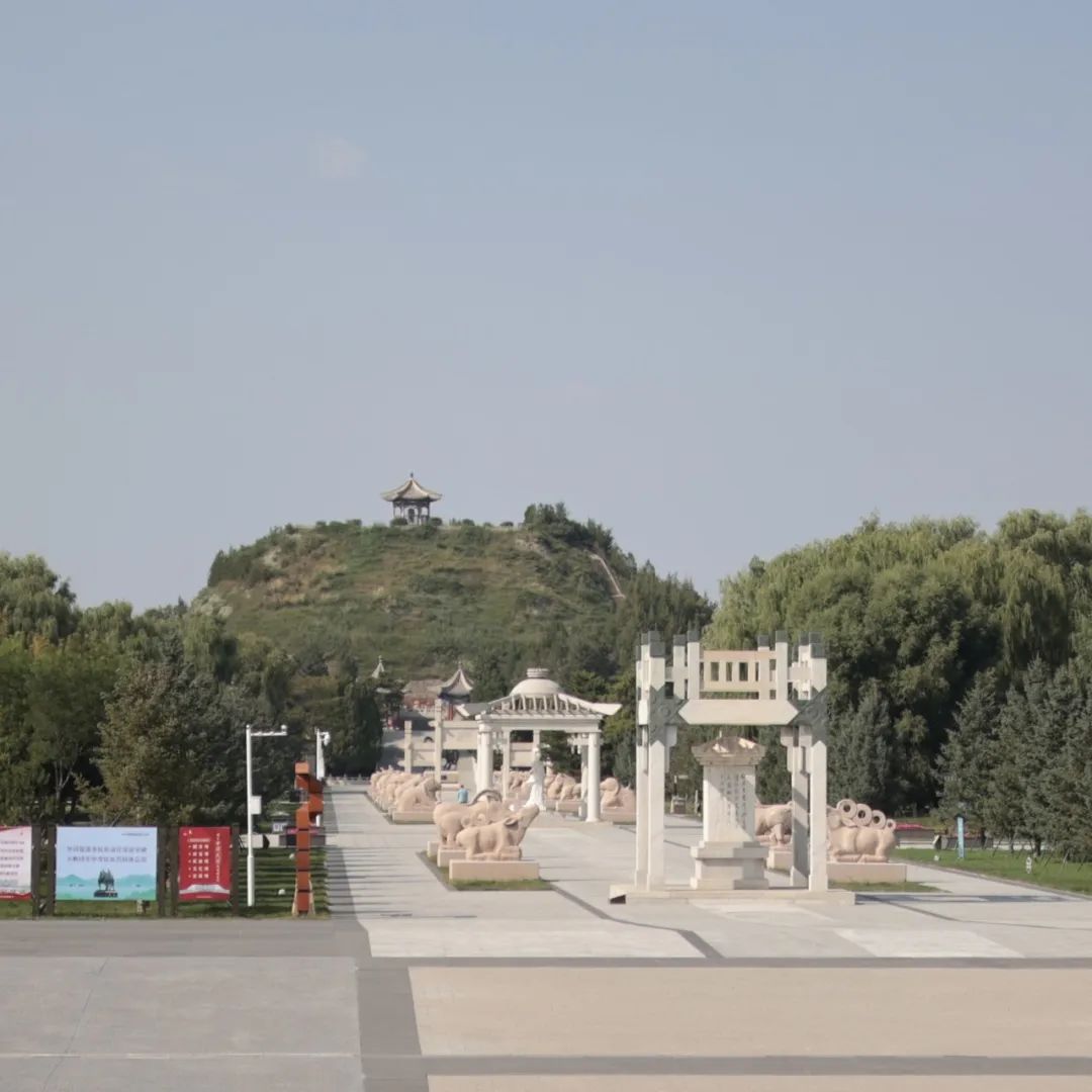 我宣布，烧卖和公厕是我在呼和浩特的心头好