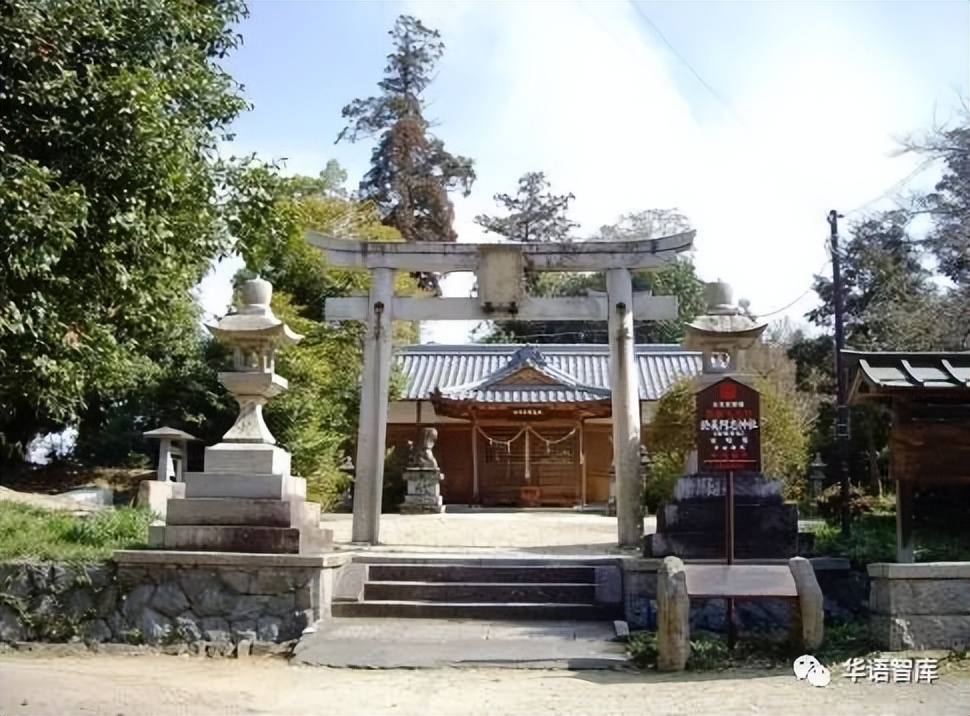 鏃ユ湰鍖荤枟瑙侀椈,鏃ユ湰涓尰涓村簥鏁欏瑙嗛