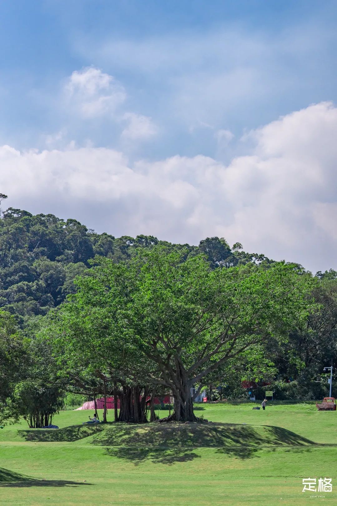 深圳十条景美徒步路线推荐,深圳水库徒步路线图