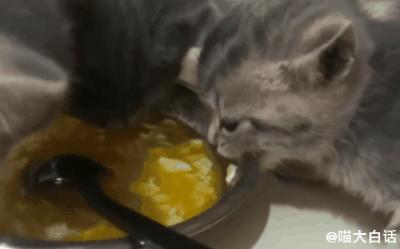 背德文学啥意思,背德文学是什么