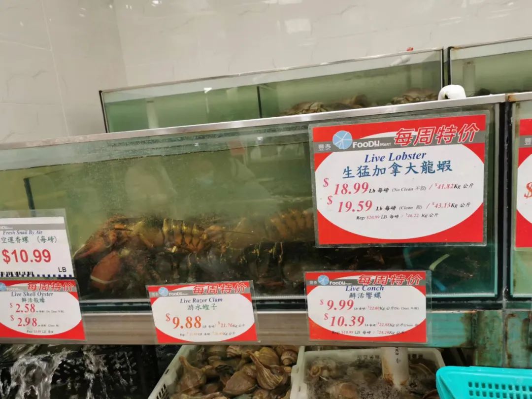 移民多伦多需要什么,移民多伦多做什么